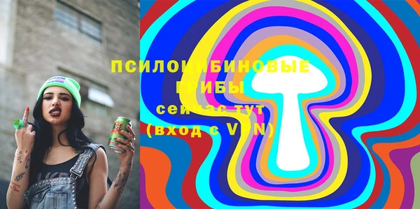 spice Алексин