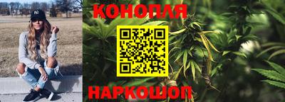 твердый Кингисепп