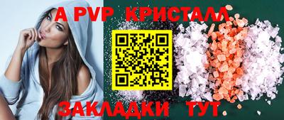 твердый Кингисепп