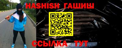 твердый Кингисепп